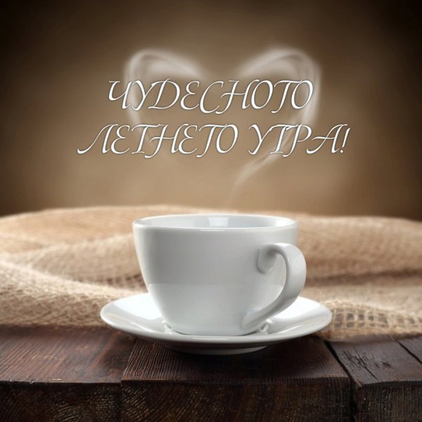 Завтрак с цветами