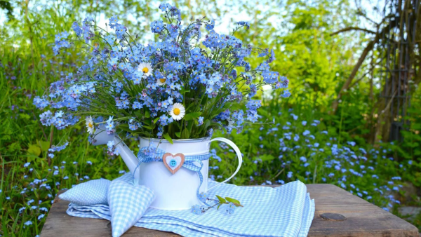 Необычные открытки с добрым утром