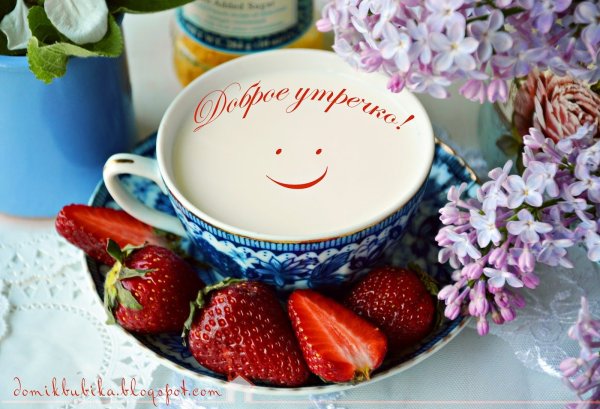 Доброе утро песик