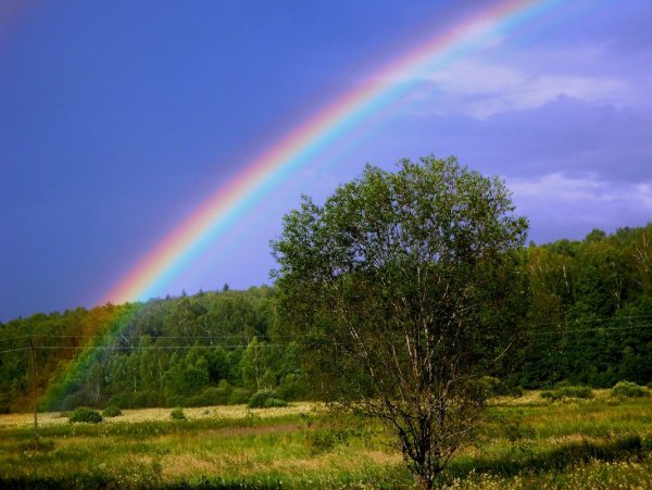 Радуга после дождя