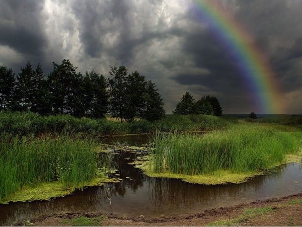 Дождь для радуги