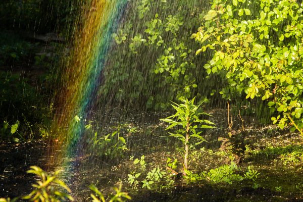 Радуга после дождя