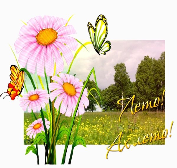 Доброе утро вот и лето пришло