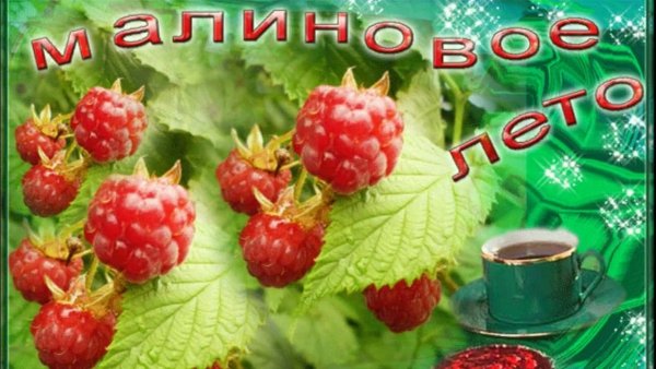 Летние рисунки