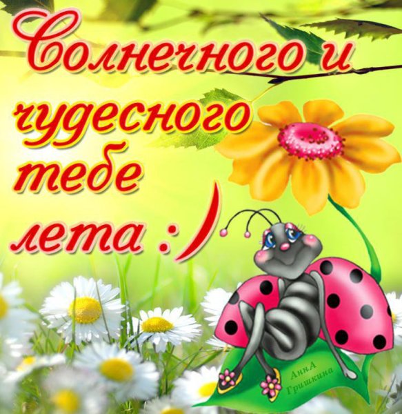 Открытки с летом