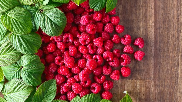 Мокрая малина