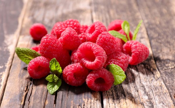 Малина панорама