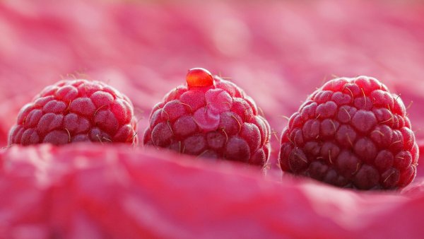 Еда на фоне природы