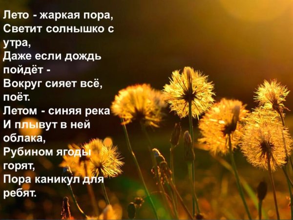Лето жаркая пора стих