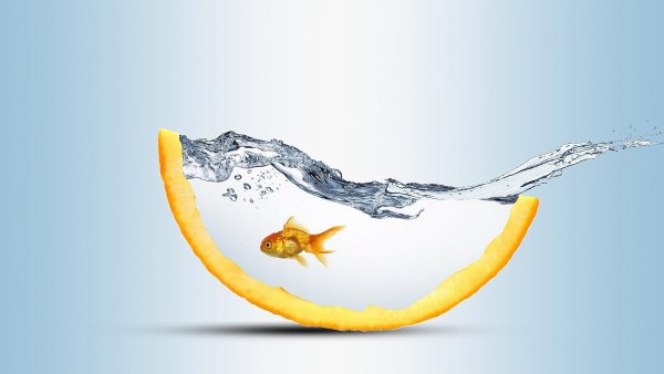 Парадиз остров Карибского моря