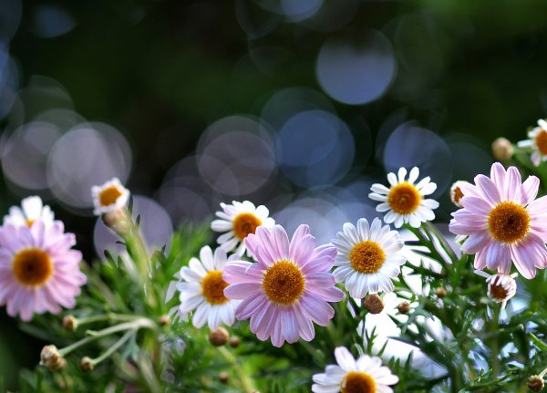 Доброе утро субботы