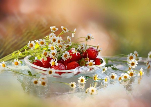 Солнечных выходных