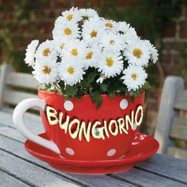 Открытки с добрым утром субботы