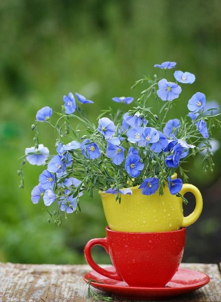 Утренняя мотивация