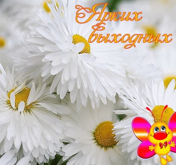 Открытки с добрым утром