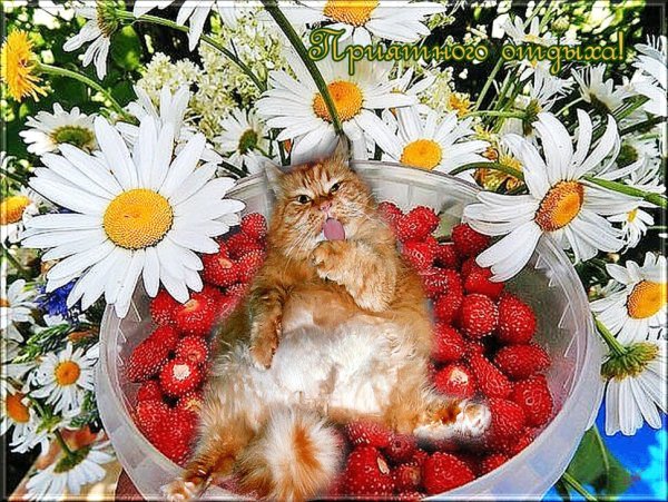 Отличной пятницы