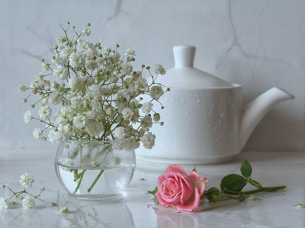 Доброе утро субботы