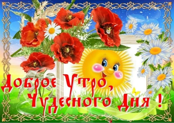 Отличного дня Подсолнухи открытка