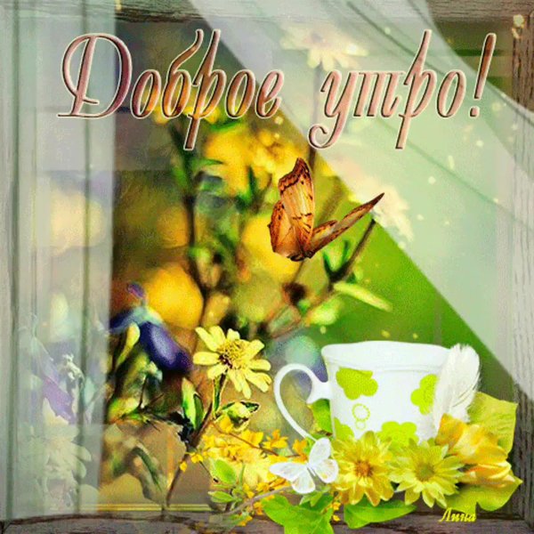 Пожелания с добрым летним утром