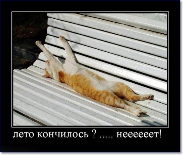 Я так хочу чтобы лето не кончалось