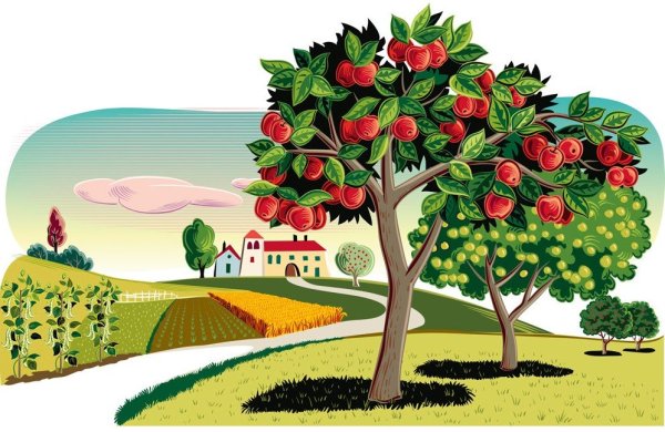 Фруктовые деревья для детей