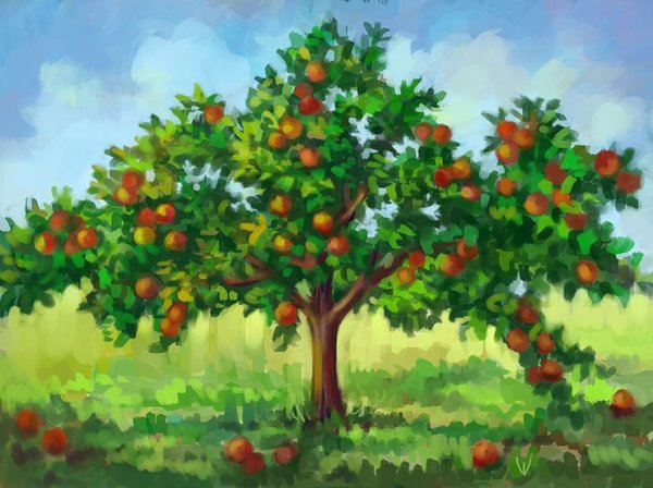 Рисование яблоня