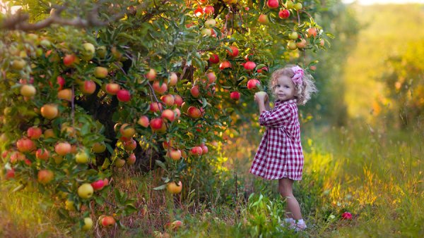 Осень для детей