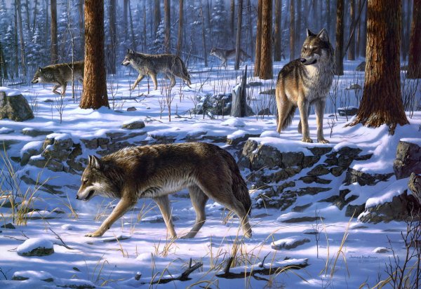 Волчата в зимнем лесу