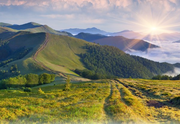 Сопки дальнего Востока