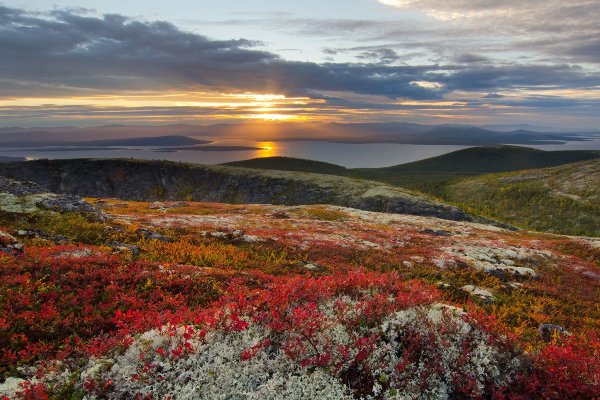 Лапландский заповедник Кольский полуостров
