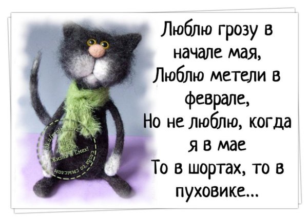 Приколы про Холодное лето