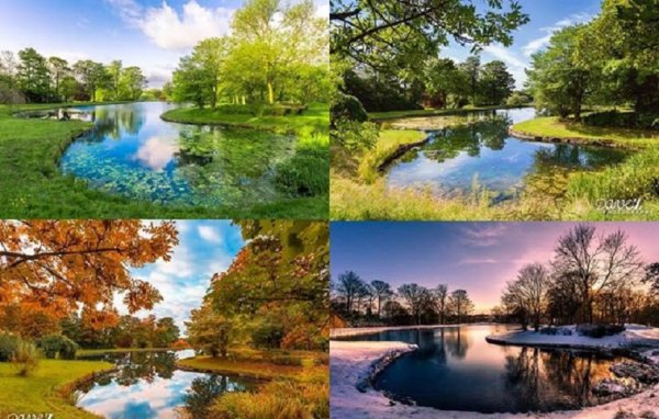 Пейзаж времена года