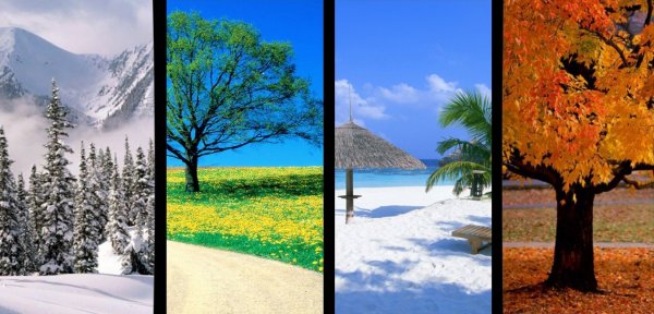 Зима,Весна,лето,осень