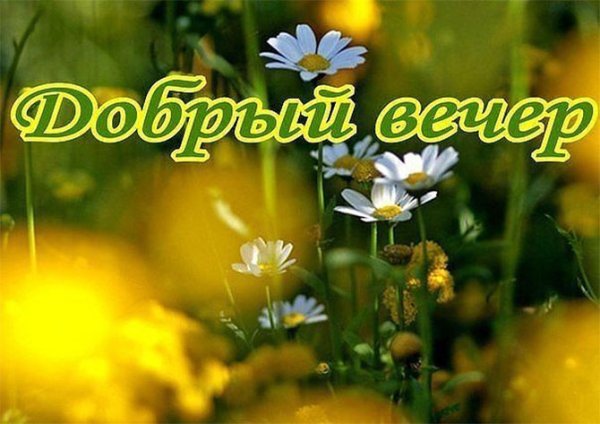 Доброго летнего вечера