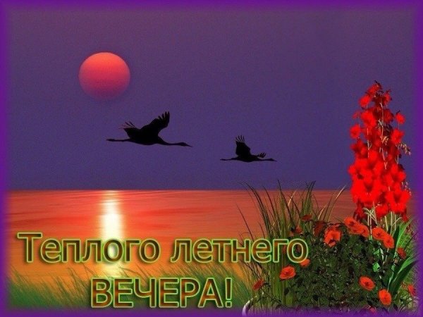 Доброго летнего вечера