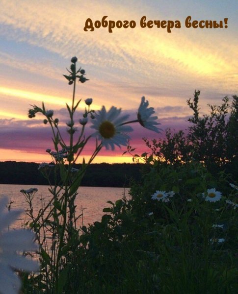 Приятного летнего вечера