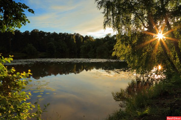 Летний вечер