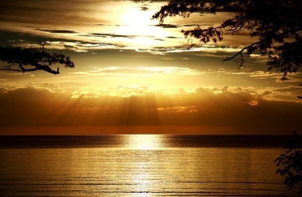 Добрый вечер солнышко