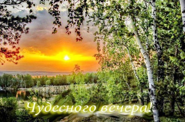 Чудесного летнего вечера