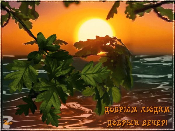 Летний вечер анимация