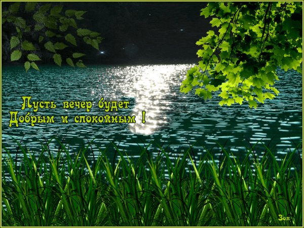 Тихого спокойного вечера