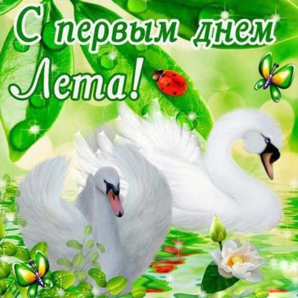 Летние открытки