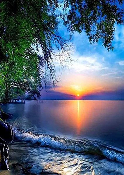 Добрый вечер природа