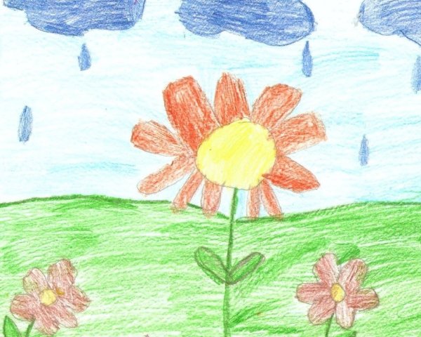 Рисование Цветочная Поляна