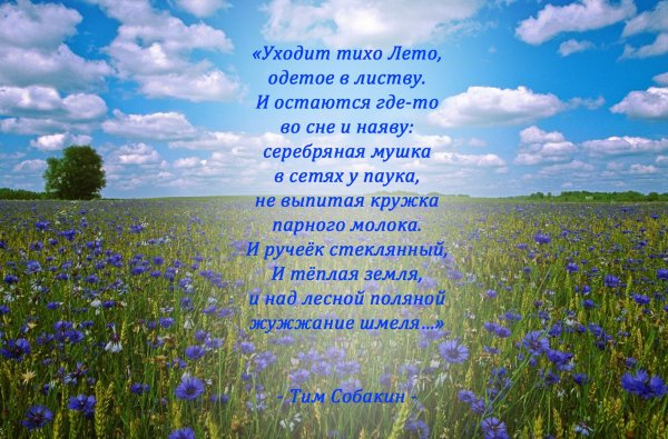 Стихи про лето