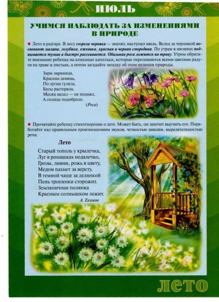 Наблюдения в природе летом