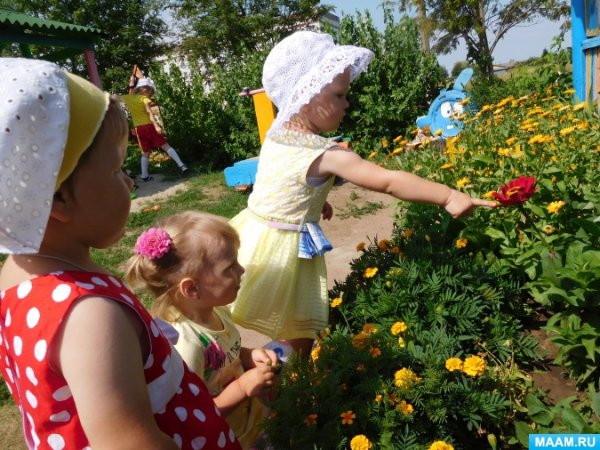 Летняя прогулка в детском саду