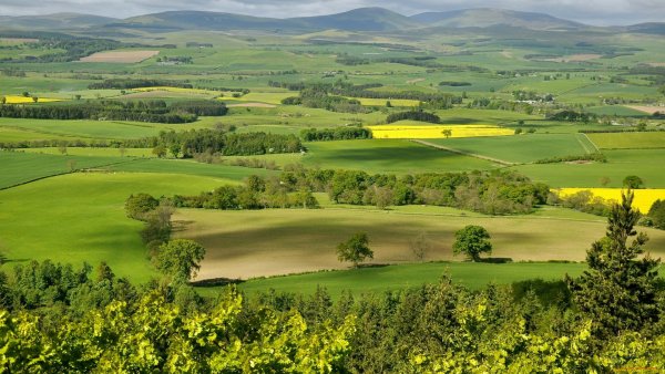Долина Англия поле