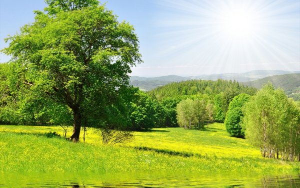 Пейзажи природы