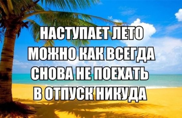 Смешные цитаты про лето